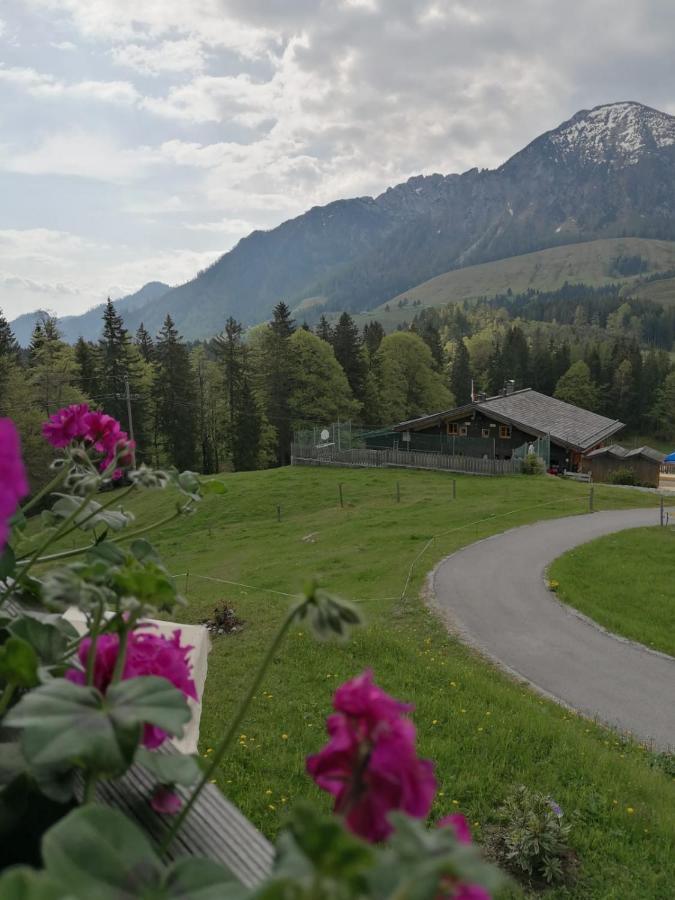 Aparthotel Haus Obweg - Postalm Hallein Exteriér fotografie