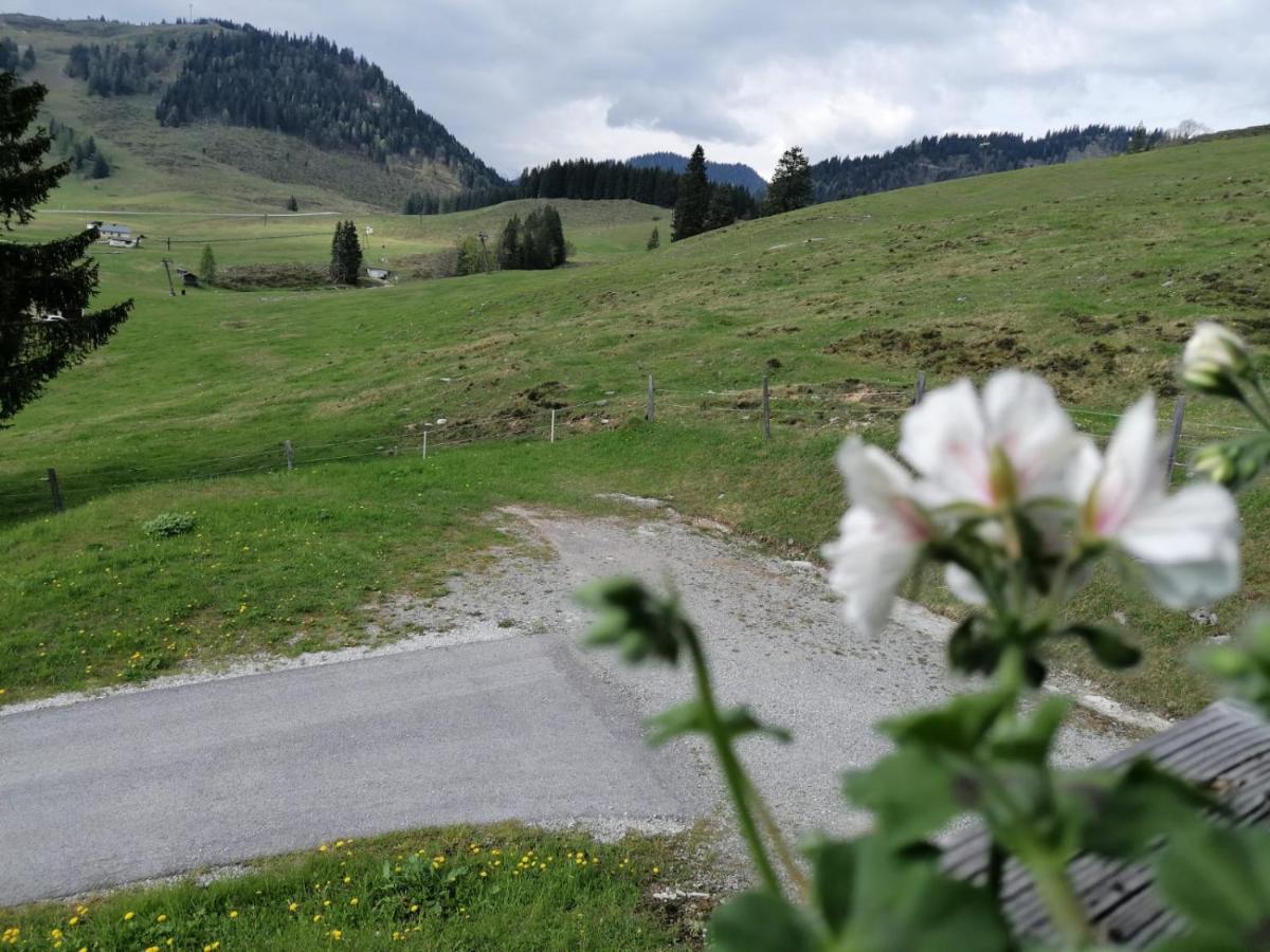 Aparthotel Haus Obweg - Postalm Hallein Exteriér fotografie