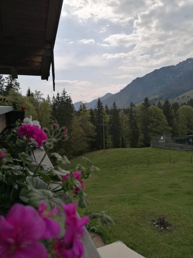Aparthotel Haus Obweg - Postalm Hallein Exteriér fotografie