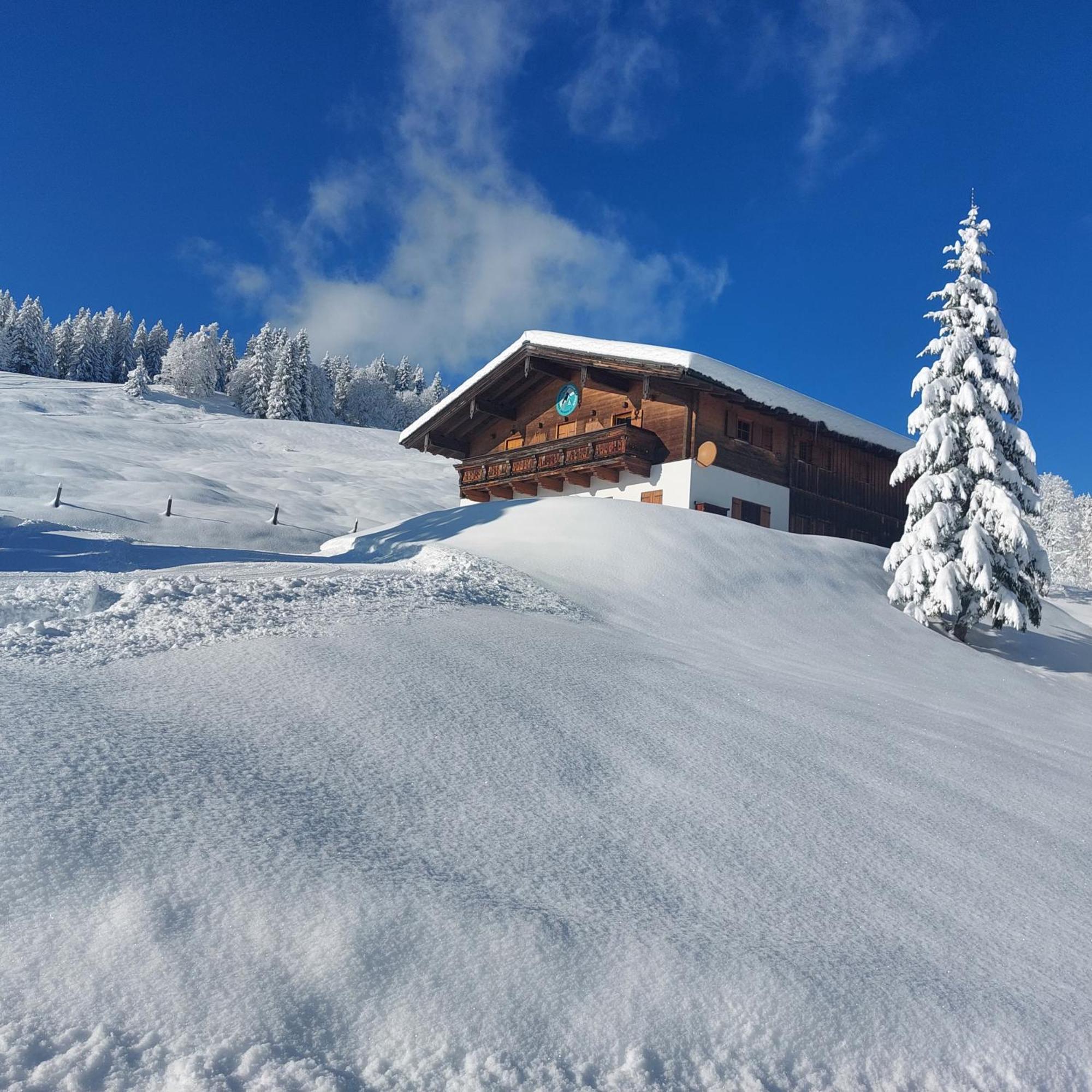 Aparthotel Haus Obweg - Postalm Hallein Exteriér fotografie